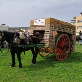 Tres Tombs in Bigues and Riells