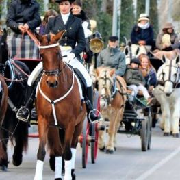 Tres Tombs in Martorell