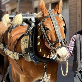 Tres Tombs al Pinell de Brai