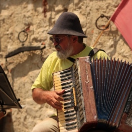 Meeting of Accordionists of the Pyrenees in La Seu d'Urgell