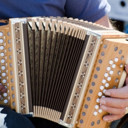 Meeting of Accordionists of the Pyrenees in Puigcerdà