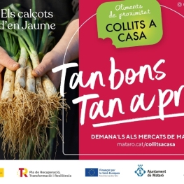 Visita guiada a pagès "Què és Collits a casa?" a Mataró