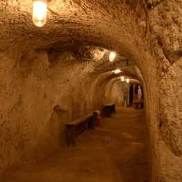 Guided tour: 'The air raid shelter at La Garriga station'