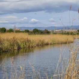 Visits to the Acequia Mayor Natural Area in Vila-seca