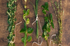 Fira d'Herbes Remeieres i Plantes Aromàtiques a Aiguafreda