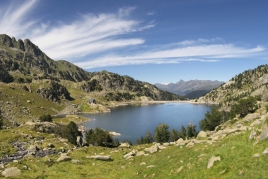 May 22, International Day for Biological Diversity