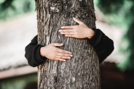 Forest bathing in Sant Pere de Ribes