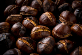 Chestnut Festival in Vallgorguina