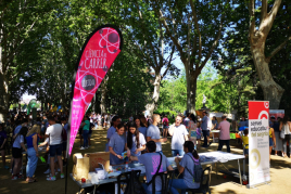 Science in the Street - Lleida Science Fair