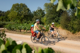 ¡Descubre los Caminos del Cava!