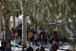 Autumn Festival at Les Masies de Voltregà