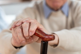 Old Age Festival in Montseny