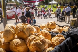 Festival of San Marc, Bread and Wine Fair in Sant Salvador de…