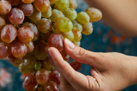 Grape Festival in Masquefa