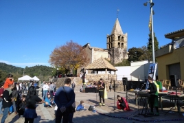 Estanyol Festival, Bescanó