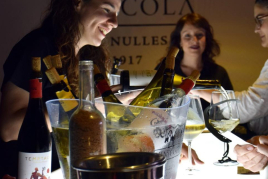 Melodeep Festival at Adernats Winery - Nulles