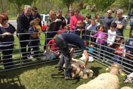 Foire des agriculteurs à Llanars