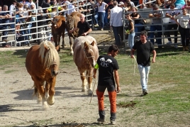 Fira de primavera del Cavall Pirinenc Català a Llavorsí