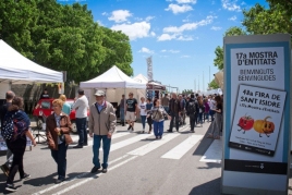 Sant Isidre Fair in Viladecans