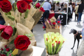 Feria de Sant Jordi en Vilanova de Vallès