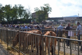 Fair of Sant Lluc in Olot