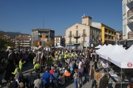 Sant Martí Fair in Puig-reig