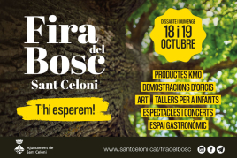 Feria del bosque de Sant Celoni
