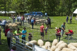 Fira dels productes del Parc Natural de l'Alt Pirineu i de l'Ovella…