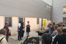 Feria Verd-lloc de Bell-Lloc de Urgell