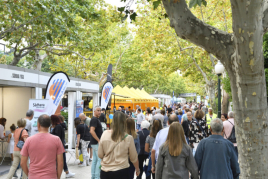 FirAnoia en Igualada