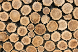 FustÀneu, Wood Culture Fair in Alt Àneu