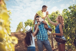 La Vendange de Cava est de retour!