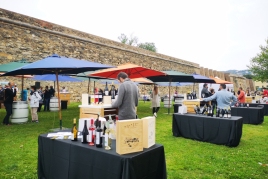 Salon du vin à Roses