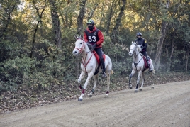 International Equestrian Raid in Santa Susanna