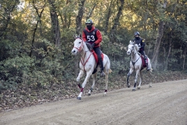 Raid Hípico Internacional en Santa Susanna