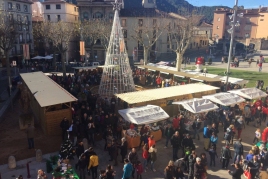 'Ripoll batega per Nadal'