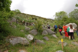 Vall de Boí Trek
