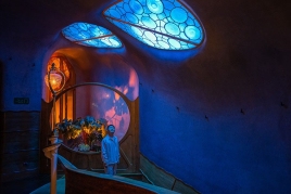 Night Tour: A Winter's Night - Casa Batlló
