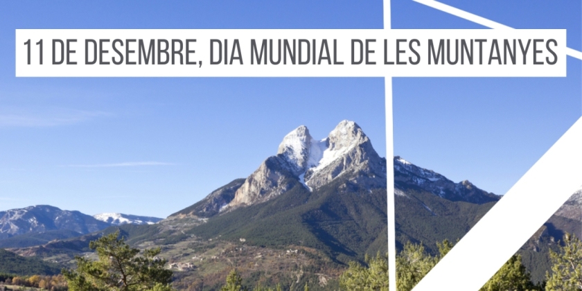 11-de-desembre-dia-mundial-de-les-muntanyes