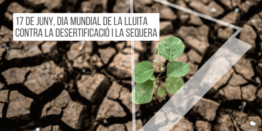 17-juny-dia-munidal-contra-desertificacio-i-sequera
