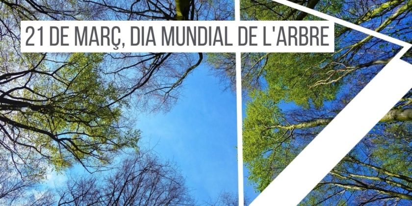 21-de-marc-dia-mundial-de-larbre