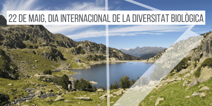 22-maig-dia internacional-diversitat-biologica