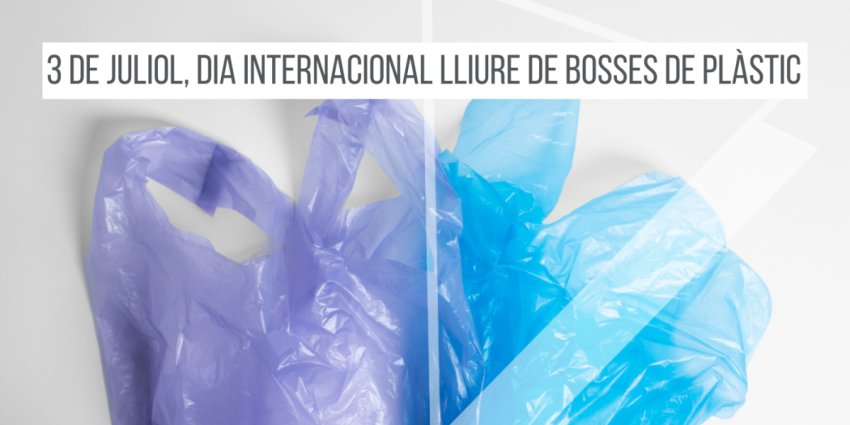 3-juliol-dia-internacional-lliure-de-boses