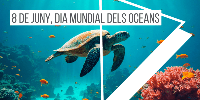 8-juny-dia-mundial-dels-oceans