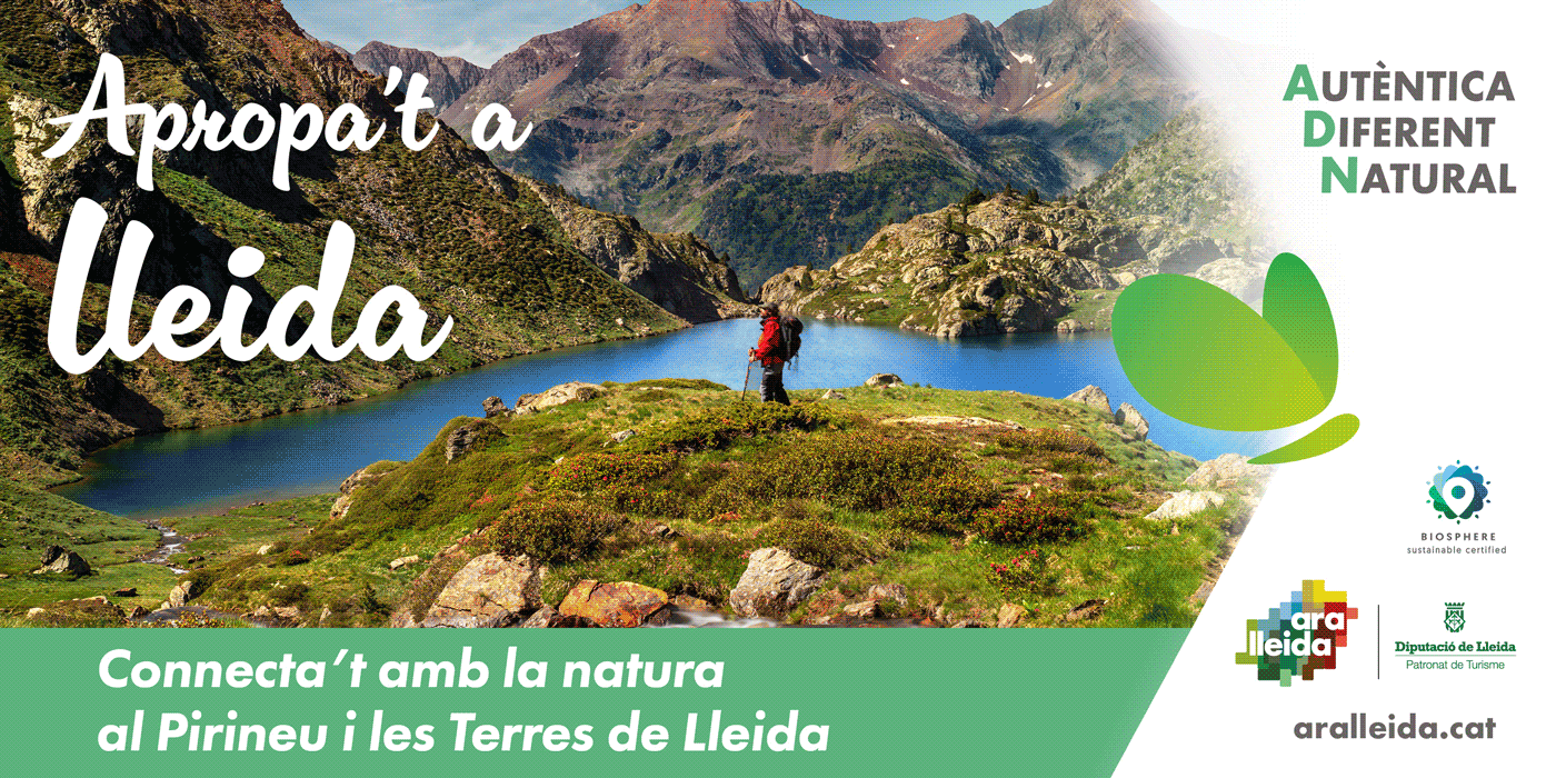 aralleida-natura