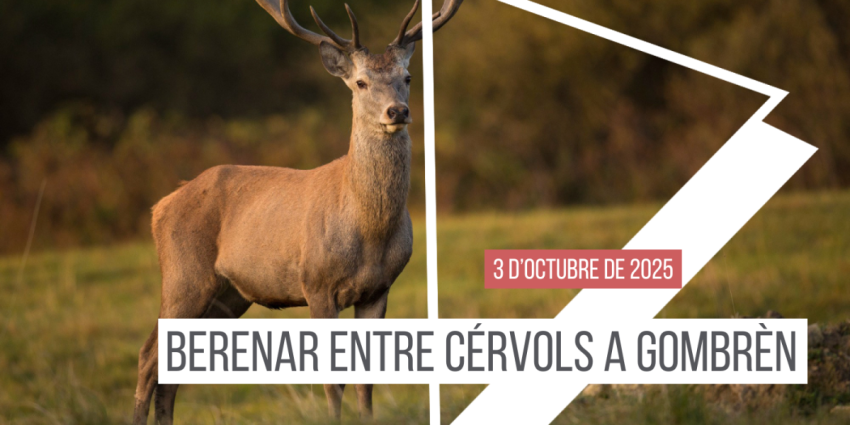 berenar-entre-cervols-gombren