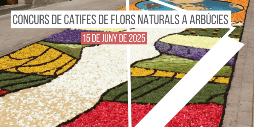 concurs-de-catifes-de-flors-naturals-arbucies