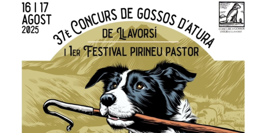 concurs-de-gossos-datura-i-festival-pirineu-pastor
