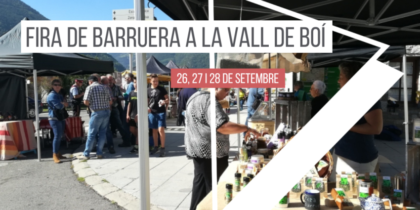 fira-barruera-aturat-la-vall-de-boi