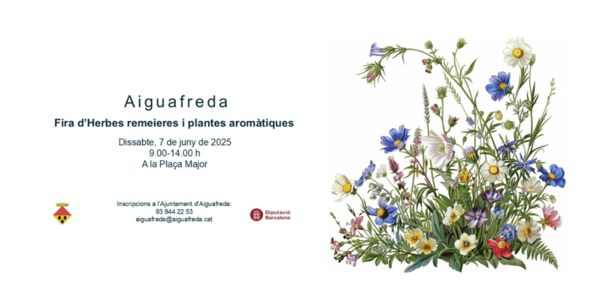 fira-d-herbes-remeires-i-plantes-aromatiques-a-aiguafreda